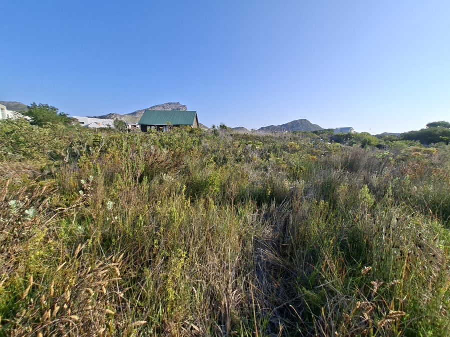 0 Bedroom Property for Sale in Pringle Bay Western Cape